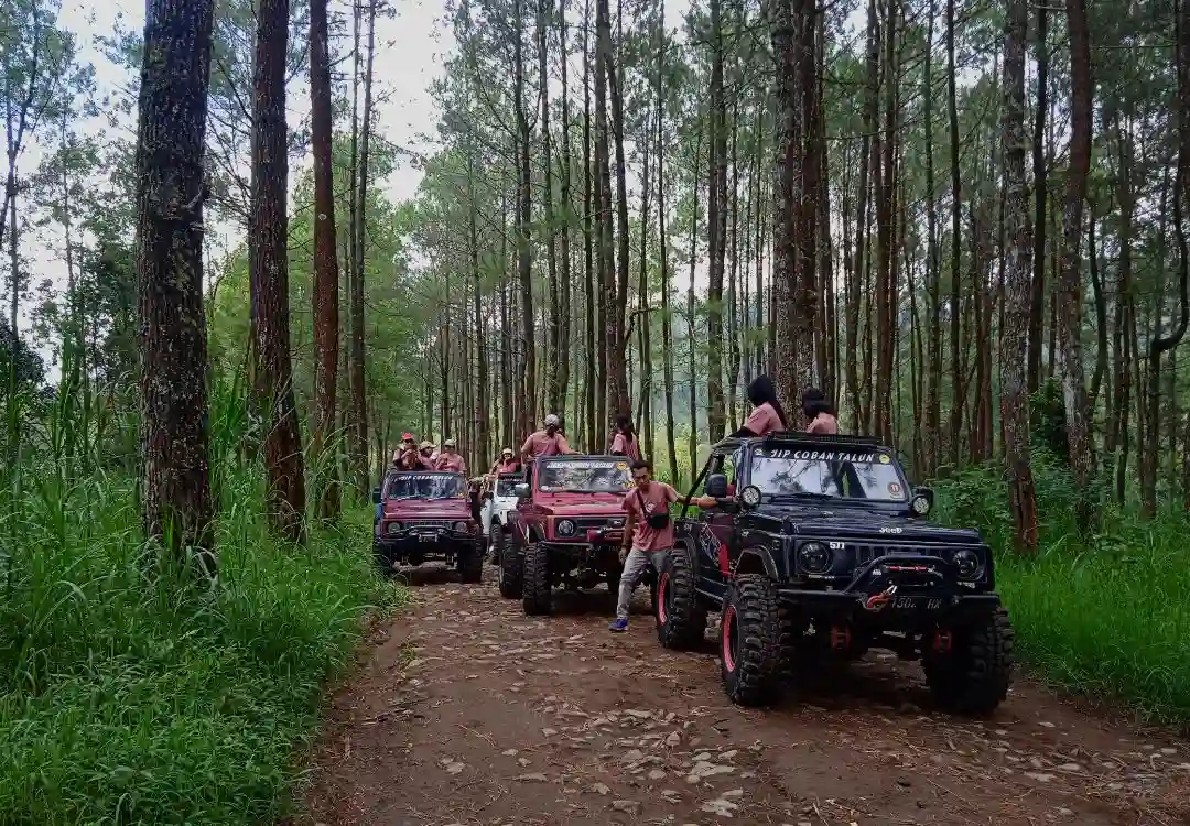 Peralatan Camp